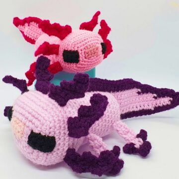 Crochet Amigurumi Minecraft Axolotl Pattern (1)